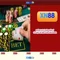 xn88 là gì và vai trò của nó trong thế giới cá cược trực tuyến