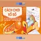xn88: Tóm tắt và đánh giá nền tảng giải trí trực tuyến