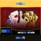 xn88: Tổng quan về nền tảng và tính năng