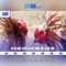 xn88: Tổng quan về nền tảng trực tuyến