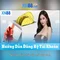 xn88 là gì và vai trò của nó trong thế giới cá cược trực tuyến
