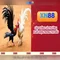 xn88: Giới thiệu về nền tảng cá cược trực tuyến