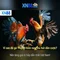 xn88: Nền tảng giải trí trực tuyến và trải nghiệm người chơi