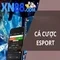xn88: nền tảng trò chơi trực tuyến và đánh giá tổng quan