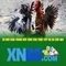 xn88 là gì và những điểm nổi bật của nền tảng game trực tuyến