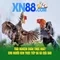xn88 link – cầu nối tin cậy cho trải nghiệm game đỉnh cao
